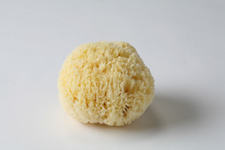 Wool Sponge1