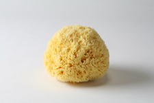 Honeycomb Sponge1