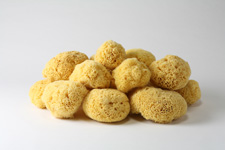 Honeycomb Sponge2